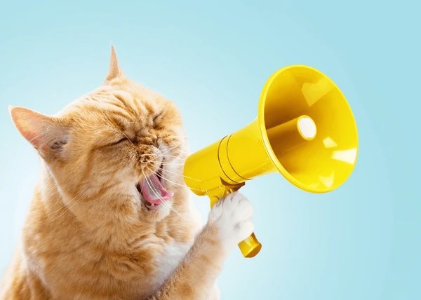 Importance of Vocal Communication in Animal&nbsp;Behavior